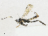  ( - CBG-A16707-C07)  @11 [ ] CreativeCommons - Attribution Share - Alike (2023) CBG Photography Group Centre for Biodiversity Genomics