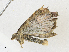  ( - CBG-A21658-B11)  @11 [ ] CreativeCommons - Attribution Share-Alike (2023) CBG Photography Group Centre for Biodiversity Genomics