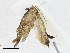  ( - CBG-A21658-C05)  @11 [ ] CreativeCommons - Attribution Share-Alike (2023) CBG Photography Group Centre for Biodiversity Genomics