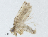  ( - BIOUG91392-F12)  @11 [ ] CreativeCommons - Attribution (2023) CBG Photography Group Centre for Biodiversity Genomics
