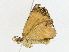  ( - CBG-A04562-E01)  @11 [ ] CreativeCommons - Attribution (2023) CBG Photography Group Centre for Biodiversity Genomics