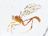  ( - CBG-A04563-A07)  @11 [ ] CreativeCommons - Attribution (2023) CBG Photography Group Centre for Biodiversity Genomics