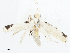  ( - CBG-A05358-C02)  @11 [ ] CreativeCommons - Attribution (2023) CBG Photography Group Centre for Biodiversity Genomics