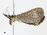  ( - CBG-A13281-B08)  @11 [ ] CreativeCommons - Attribution Share - Alike (2023) CBG Photography Group Centre for Biodiversity Genomics