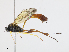  ( - CBG-A13281-E02)  @11 [ ] CreativeCommons - Attribution Share - Alike (2023) CBG Photography Group Centre for Biodiversity Genomics