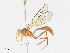  ( - CBG-A28427-G02)  @11 [ ] CreativeCommons - Attribution Share - Alike (2024) CBG Photography Group Centre for Biodiversity Genomics