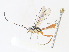  ( - CBG-A28428-E12)  @11 [ ] CreativeCommons - Attribution Share - Alike (2024) CBG Photography Group Centre for Biodiversity Genomics