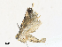  ( - CBG-A30058-C01)  @11 [ ] CreativeCommons - Attribution Share - Alike (2024) CBG Photography Group Centre for Biodiversity Genomics