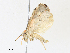  ( - CBG-A30058-E09)  @11 [ ] CreativeCommons - Attribution Share - Alike (2024) CBG Photography Group Centre for Biodiversity Genomics