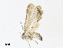  ( - CBG-A30058-E10)  @11 [ ] CreativeCommons - Attribution Share - Alike (2024) CBG Photography Group Centre for Biodiversity Genomics