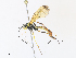  ( - CBG-A30058-G09)  @11 [ ] CreativeCommons - Attribution Share - Alike (2024) CBG Photography Group Centre for Biodiversity Genomics