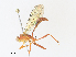  ( - CBG-A30059-F11)  @11 [ ] CreativeCommons - Attribution Share - Alike (2024) CBG Photography Group Centre for Biodiversity Genomics