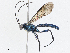  ( - CBG-A04566-B02)  @11 [ ] CreativeCommons - Attribution (2023) CBG Photography Group Centre for Biodiversity Genomics