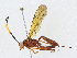  ( - CBG-A04580-A12)  @11 [ ] CreativeCommons - Attribution (2023) CBG Photography Group Centre for Biodiversity Genomics