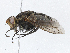  ( - CBG-A04580-C09)  @11 [ ] CreativeCommons - Attribution (2023) CBG Photography Group Centre for Biodiversity Genomics