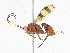  ( - CBG-A04581-H05)  @11 [ ] CreativeCommons - Attribution (2023) CBG Photography Group Centre for Biodiversity Genomics