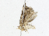  ( - CBG-A05362-A01)  @11 [ ] CreativeCommons - Attribution (2023) CBG Photography Group Centre for Biodiversity Genomics