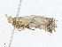  ( - CBG-A05362-A02)  @11 [ ] CreativeCommons - Attribution (2023) CBG Photography Group Centre for Biodiversity Genomics