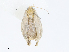  ( - CBG-A05362-A04)  @11 [ ] CreativeCommons - Attribution (2023) CBG Photography Group Centre for Biodiversity Genomics