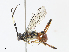  ( - CBG-A13283-D11)  @11 [ ] CreativeCommons - Attribution Share - Alike (2023) CBG Photography Group Centre for Biodiversity Genomics