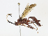  ( - CBG-A13283-E10)  @11 [ ] CreativeCommons - Attribution Share - Alike (2023) CBG Photography Group Centre for Biodiversity Genomics