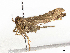  ( - CBG-A13283-F05)  @11 [ ] CreativeCommons - Attribution Share - Alike (2023) CBG Photography Group Centre for Biodiversity Genomics