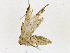  ( - CBG-A13359-D03)  @11 [ ] CreativeCommons - Attribution Share-Alike (2023) CBG Photography Group Centre for Biodiversity Genomics