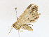  ( - CBG-A13359-G02)  @11 [ ] CreativeCommons - Attribution Share-Alike (2023) CBG Photography Group Centre for Biodiversity Genomics
