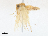  ( - CBG-A13359-G03)  @11 [ ] CreativeCommons - Attribution Share-Alike (2023) CBG Photography Group Centre for Biodiversity Genomics