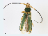  ( - CBG-A14981-B08)  @11 [ ] CreativeCommons - Attribution Share-Alike (2023) CBG Photography Group Centre for Biodiversity Genomics