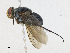  ( - CBG-A17545-F03)  @11 [ ] CreativeCommons - Attribution Share-Alike (2023) CBG Photography Group Centre for Biodiversity Genomics