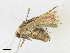  ( - CBG-A17546-E08)  @11 [ ] CreativeCommons - Attribution Share-Alike (2023) CBG Photography Group Centre for Biodiversity Genomics