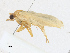  ( - CBG-A17547-C02)  @11 [ ] CreativeCommons - Attribution Share-Alike (2023) CBG Photography Group Centre for Biodiversity Genomics
