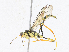  ( - CBG-A17547-H04)  @11 [ ] CreativeCommons - Attribution Share-Alike (2023) CBG Photography Group Centre for Biodiversity Genomics