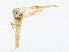  ( - CBG-A17548-H04)  @11 [ ] CreativeCommons - Attribution Share-Alike (2023) CBG Photography Group Centre for Biodiversity Genomics