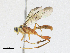 ( - CBG-A18341-A07)  @11 [ ] CreativeCommons - Attribution Share-Alike (2023) CBG Photography Group Centre for Biodiversity Genomics