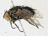  ( - CBG-A18341-D11)  @11 [ ] CreativeCommons - Attribution Share-Alike (2023) CBG Photography Group Centre for Biodiversity Genomics