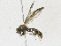  ( - CBG-A18342-E09)  @11 [ ] CreativeCommons - Attribution Share-Alike (2023) CBG Photography Group Centre for Biodiversity Genomics