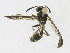  ( - CBG-A18342-E10)  @11 [ ] CreativeCommons - Attribution Share-Alike (2023) CBG Photography Group Centre for Biodiversity Genomics
