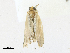  ( - CBG-A18342-G10)  @11 [ ] CreativeCommons - Attribution Share-Alike (2023) CBG Photography Group Centre for Biodiversity Genomics