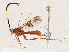  ( - CBG-A04583-C05)  @11 [ ] CreativeCommons - Attribution (2023) CBG Photography Group Centre for Biodiversity Genomics