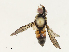  ( - CBG-A04583-H05)  @11 [ ] CreativeCommons - Attribution (2023) CBG Photography Group Centre for Biodiversity Genomics