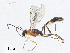  ( - CBG-A05364-E06)  @11 [ ] CreativeCommons - Attribution (2023) CBG Photography Group Centre for Biodiversity Genomics