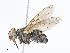  ( - CBG-A13228-H02)  @11 [ ] CreativeCommons - Attribution Share - Alike (2023) CBG Photography Group Centre for Biodiversity Genomics