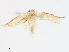  ( - CBG-A13229-D02)  @11 [ ] CreativeCommons - Attribution Share - Alike (2023) CBG Photography Group Centre for Biodiversity Genomics