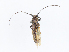  ( - CBG-A13230-B03)  @11 [ ] CreativeCommons - Attribution Share - Alike (2023) CBG Photography Group Centre for Biodiversity Genomics