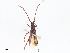  ( - CBG-A13230-E06)  @11 [ ] CreativeCommons - Attribution Share - Alike (2023) CBG Photography Group Centre for Biodiversity Genomics