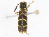  ( - CBG-A14975-H03)  @11 [ ] CreativeCommons - Attribution Share-Alike (2023) CBG Photography Group Centre for Biodiversity Genomics