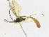  ( - CBG-A18345-A01)  @11 [ ] CreativeCommons - Attribution Share-Alike (2023) CBG Photography Group Centre for Biodiversity Genomics