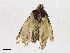  ( - CBG-A18345-D06)  @11 [ ] CreativeCommons - Attribution Share-Alike (2023) CBG Photography Group Centre for Biodiversity Genomics